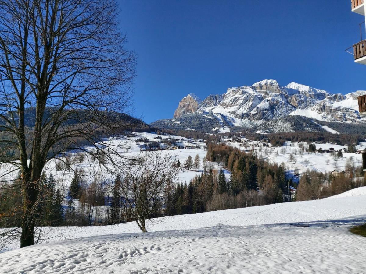 Stella Alpina Apartment Cortina d'Ampezzo